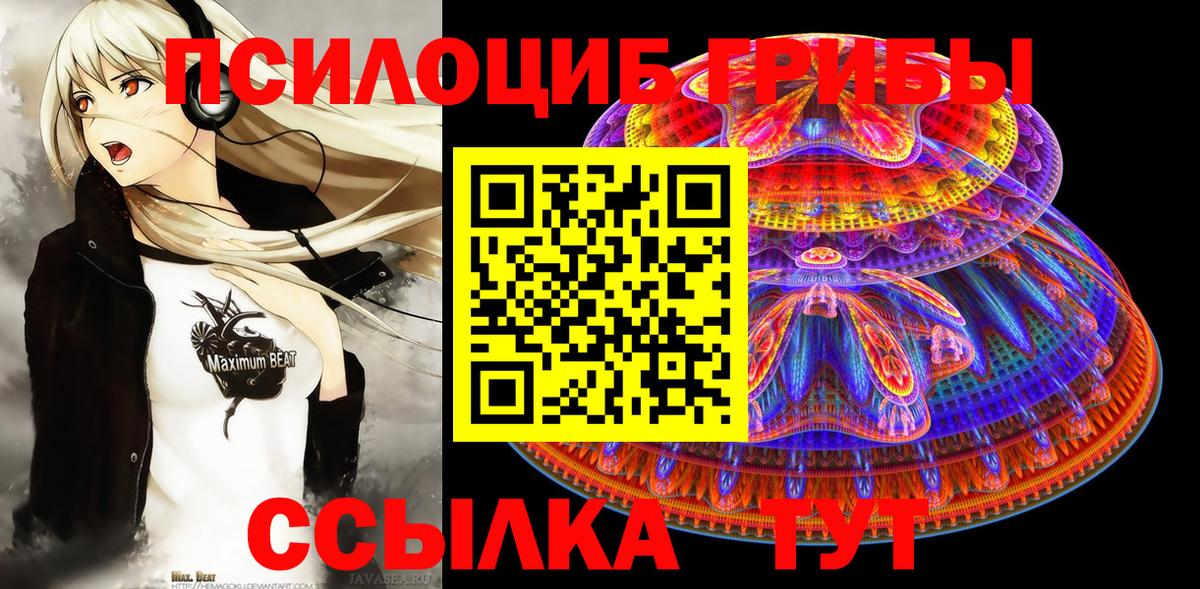 Псилоцибиновые грибы Psilocybine cubensis  Вход с VPN  Кимовск 